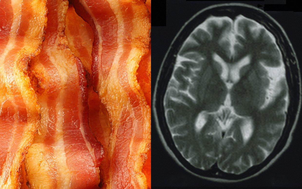 Processed Red Meat and effect on brain