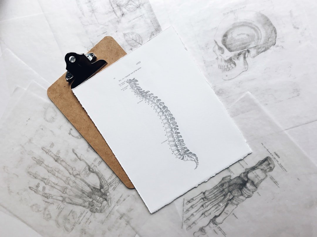 Anatomy study